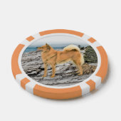 Finse spitz bij Seashore-schilderij - Dog Art Poker Chips (Enkel)