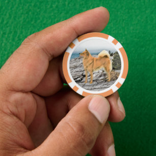 Finse spitz bij Seashore-schilderij - Dog Art Poker Chips
