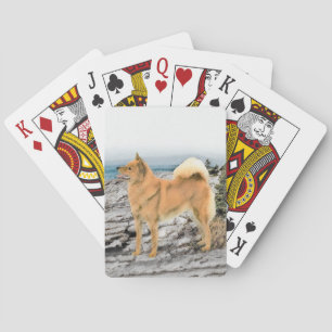 Finse spitz bij Seashore-schilderij - Dog Art Pokerkaarten