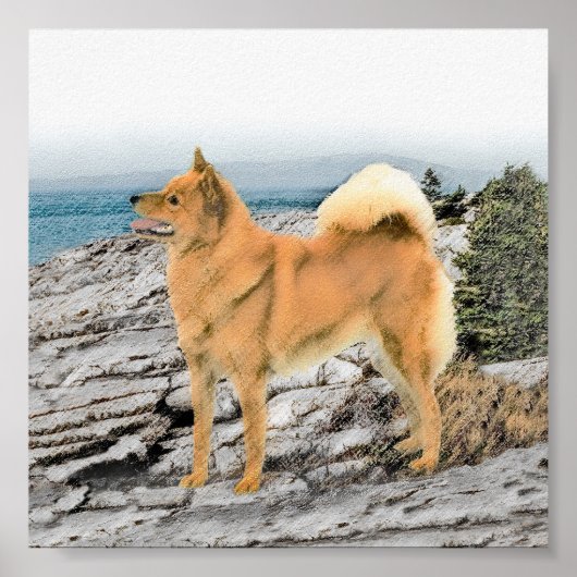 Finse spitz bij Seashore-schilderij - Dog Art Poster (Voorkant)