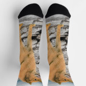 Finse spitz bij Seashore-schilderij - Dog Art Sokken (Top)