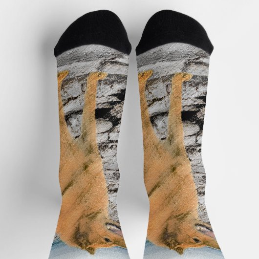 Finse spitz bij Seashore-schilderij - Dog Art Sokken (Top)