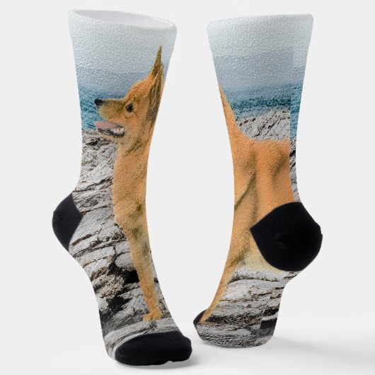 Finse spitz bij Seashore-schilderij - Dog Art Sokken (Gebogen)
