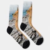Finse spitz bij Seashore-schilderij - Dog Art Sokken (Rechts)