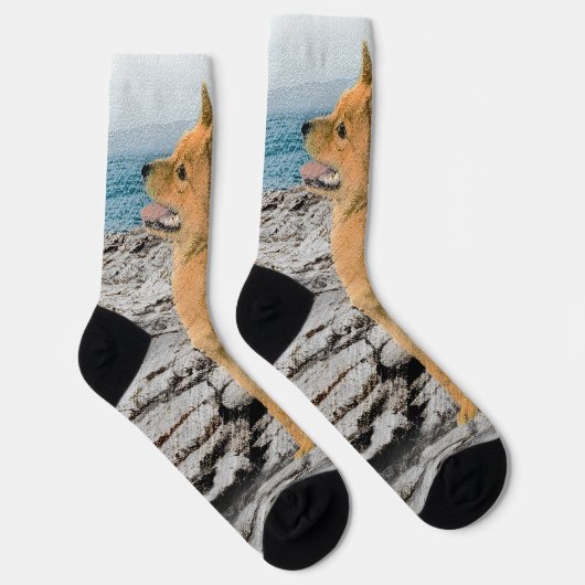 Finse spitz bij Seashore-schilderij - Dog Art Sokken (Rechts)