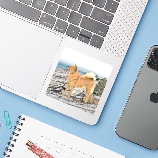 Finse spitz bij Seashore-schilderij - Dog Art Sticker (Laptop met iPhone)
