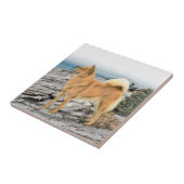 Finse spitz bij Seashore-schilderij - Dog Art Tegeltje (Zijkant)