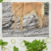 Finse spitz bij Seashore-schilderij - Dog Art Theedoek (Gevouwen)