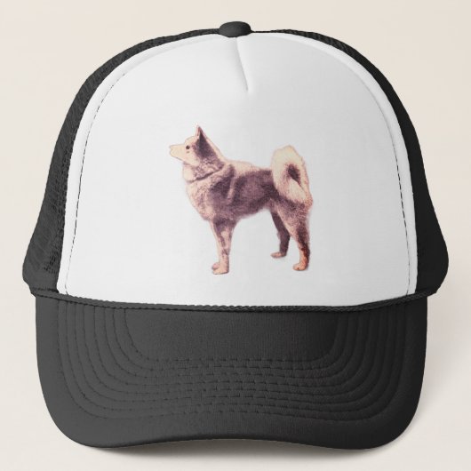 Finse Spitz -  foto Trucker Pet (Voorkant)