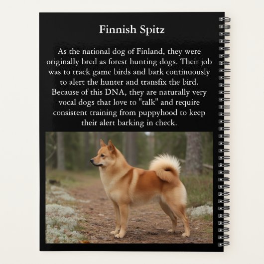 Finse Spitz Planner (Achterkant)