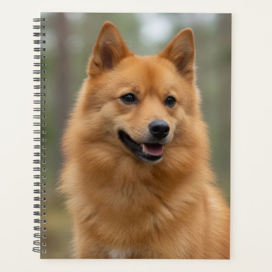 Finse Spitz Planner (Voorkant)