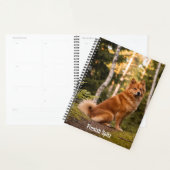 Finse Spitz Planner (Display)