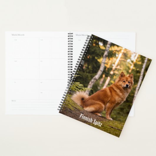 Finse Spitz Planner (Display)