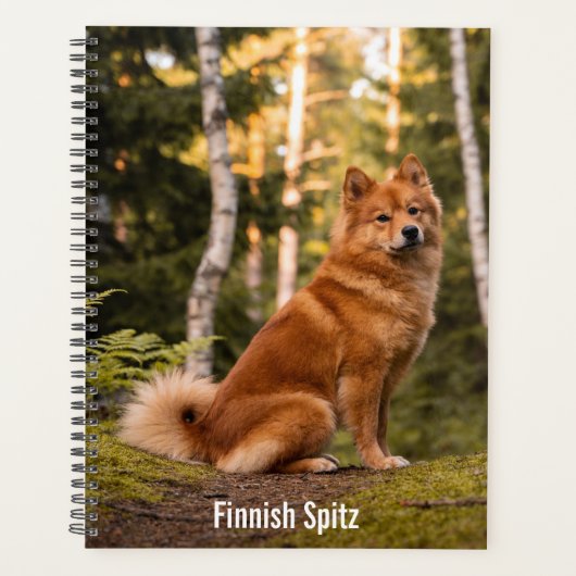 Finse Spitz Planner (Voorkant)