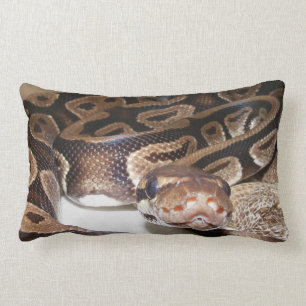 Fiona zegt Hallo Kussen