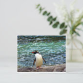 fiordland penguin stretch briefkaart (Staand voorkant)