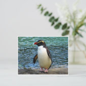 fiordland pinguïn briefkaart (Staand voorkant)
