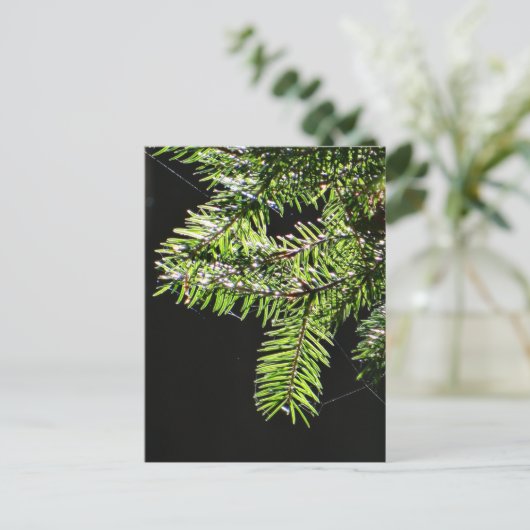 Fir-boom Briefkaart (Staand voorkant)