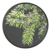 Fir-boom Hockey Puck (Voorkant)