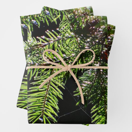 Fir-boom Inpakpapier Vel (In situ)