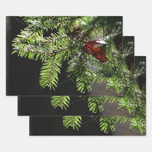 Fir-boom Inpakpapier Vel (Set)