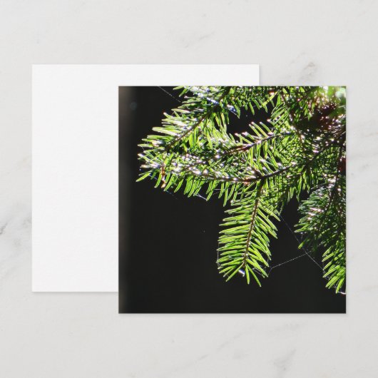 Fir-boom Kaart (Voorkant / Achterkant)