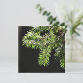 Fir-boom Kaart (Staand voorkant)