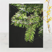 Fir-boom Kaart (Gele Bloem)