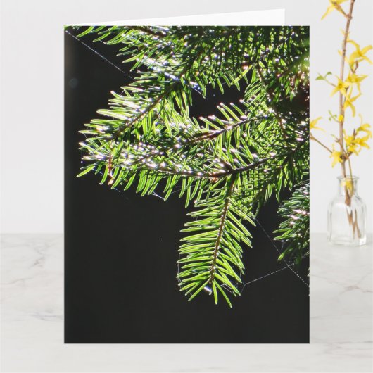 Fir-boom Kaart (Gele Bloem)