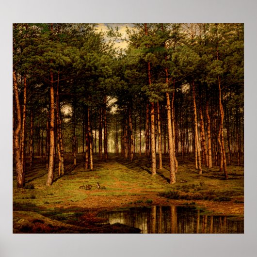 Fir Forest in Putte met Rabbits Jean Lamorinière Poster (Voorkant)