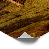 Fir Forest in Putte met Rabbits Jean Lamorinière Poster (Hoek)