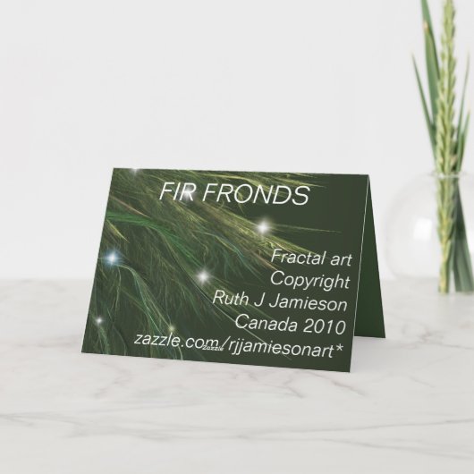 FIR-GRENZEN FEESTDAGEN KAART (Achterkant)