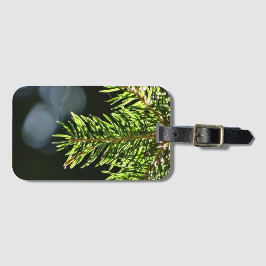 Fir-pijnnaalden met baars bagagelabel (Voorkant (horizontaal))