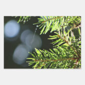 Fir-pijnnaalden met baars inpakpapier vel (Voorkant 3)