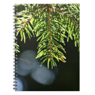 Fir-pijnnaalden met baars notitieboek