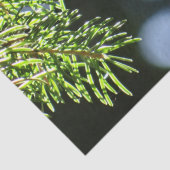 Fir-pijnnaalden met baars tissuepapier (Detail)