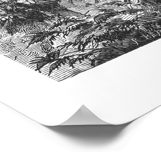  Fir Tree 1800s Antiek afdrukken Poster (Hoek)