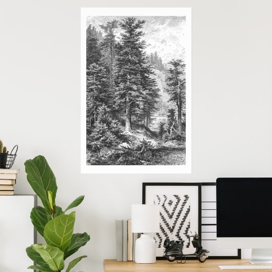  Fir Tree 1800s Antiek afdrukken Poster (Thuiskantoor)
