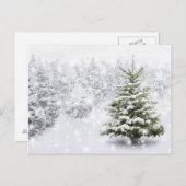 Fir Tree in Thick Snow Briefkaart (Voorkant / Achterkant)