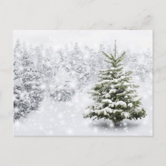 Fir Tree in Thick Snow Briefkaart (Voorkant)