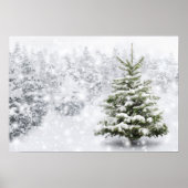 Fir Tree in Thick Snow Poster (Voorkant)
