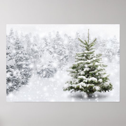Fir Tree in Thick Snow Poster (Voorkant)