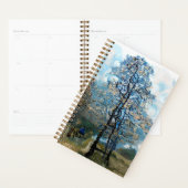 FIR TREE PLANNER (Display)