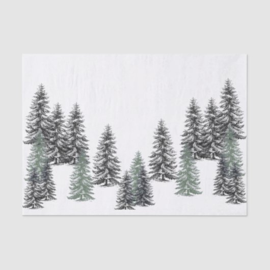 Fir Trees Black Pine Green over whitepapier Tissuepapier (Voorkant)