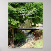 Fir Trees & Stream Bridge Ephesians 2:8,9 Print (Voorkant)