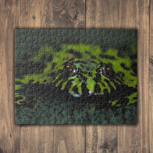 Fire Bellied Toad Closeup Legpuzzel