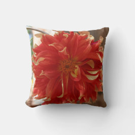 Fire Blazing Dahlia Flower Kussen