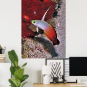 Fire Dartfish Portret Poster (Thuiskantoor)