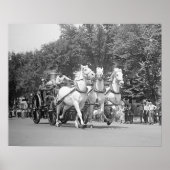 Fire Department Horses, 1925.  foto Poster (Voorkant)