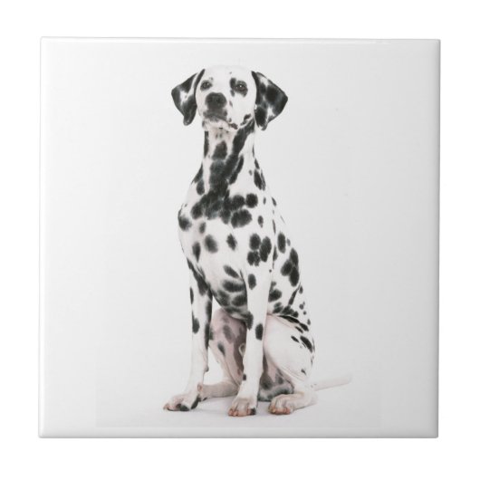 Fire Dog Tile Tegeltje (Voorkant)